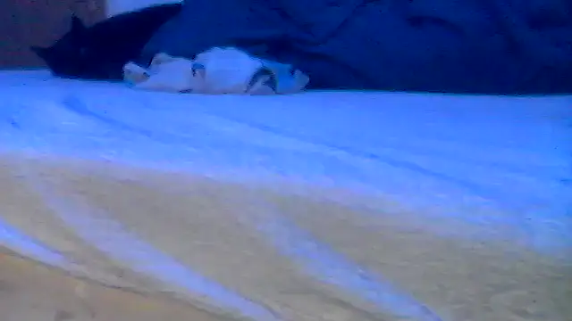 Silencio26 webkamerás műsora