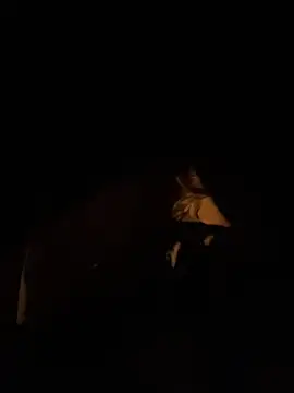 Chat XXX ao vivo de Perfectpinkpuss