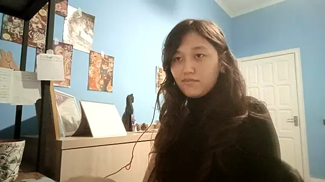 JetFielding Show in webcam