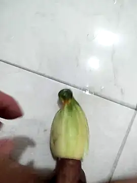 visaolaibuon Pertunjukan Webcam