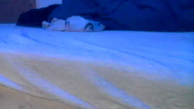 Silencio26 webkamerás műsora