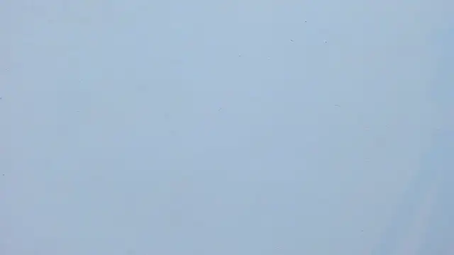 kraven_lust 现场XXX聊天