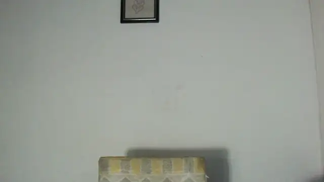 cirosky_elchicopollan Webbikameraesitys