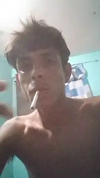 MiFlapiton Webbikameraesitys