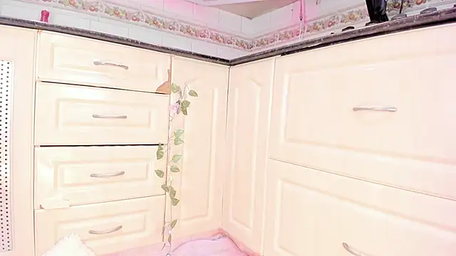 KeisyCamer Show Webcam