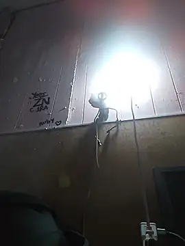 cobrosdepagos 网络视讯表演