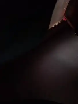 Show webcam de farsmc