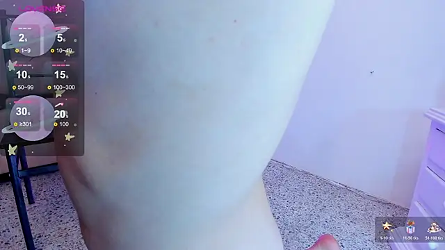 SALOME_F0X_n Webbikameraesitys