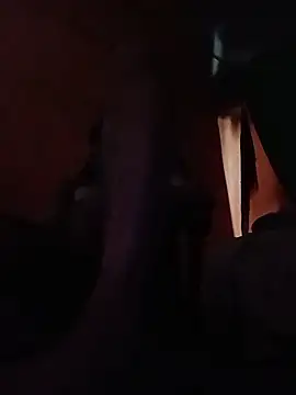 Webkamerová show desiboy1101