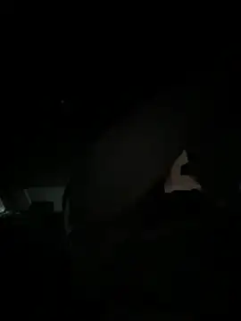 Vespapnp23 Show in webcam