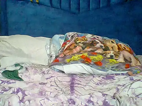 عرض كام QueenMelisa