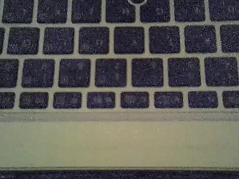 Delicious-D: вебкам-шоу