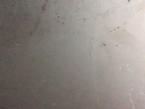 yaocaobi8 Obrolan Langsung XXX