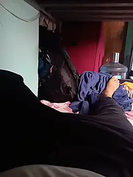 Stallionbull37: вебкам-шоу