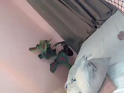 temptresses28 웹캠 쇼