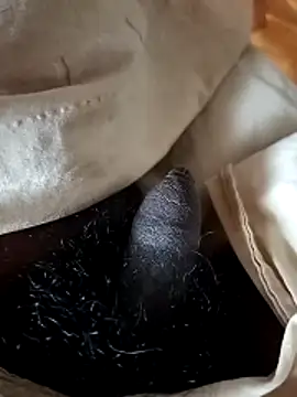 Chat XXX en directo de malluflash