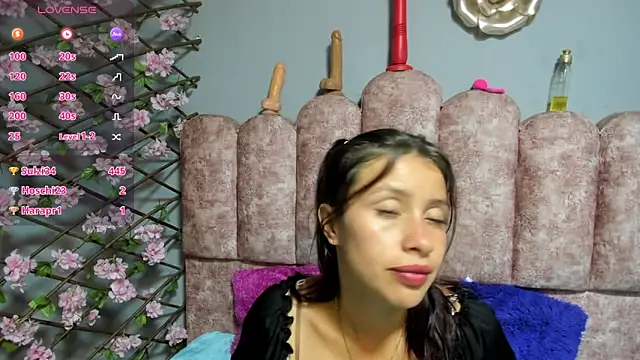 Show Webcam de cloyks