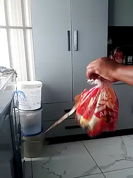 matureexoticdance – webcam-show