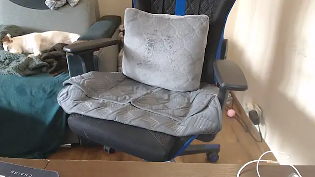 Diablica41 Chat XXX live