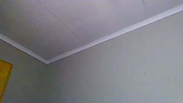 TALLnBEAUTY Obrolan Langsung XXX