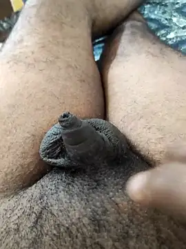 Tiny_dick_guyn Webbikameraesitys