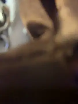 Fire-18n Live XXX chat