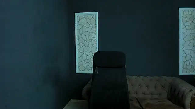 BrianHunts 网络视讯表演