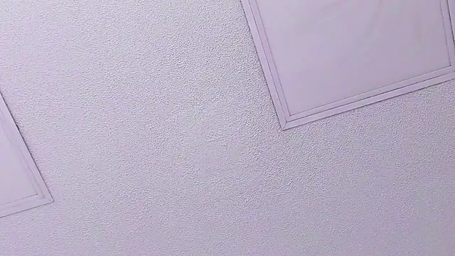 Tyler_durtenのウェブカメラショー