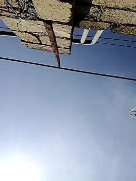 elik555 Show in webcam