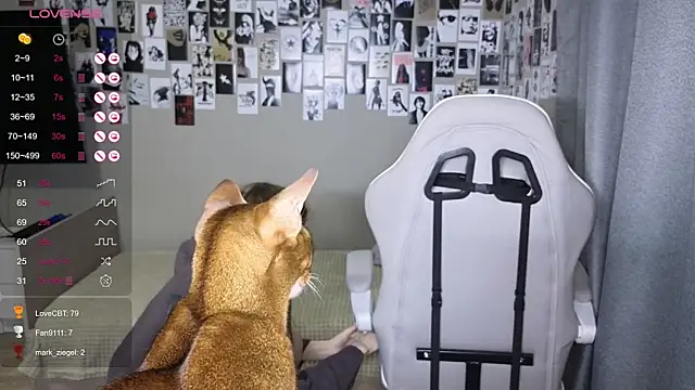 littlevildevil – Live XXX-chat