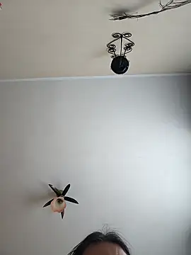 vulpe8400 – webcam-show