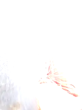 mogli444 在線直播表演