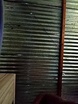 Maintee27 webkamerás műsora