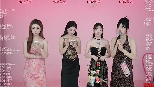 Pertunjukan Kamera Web ATY1314