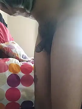 AlgeeBoksburg 웹캠 쇼