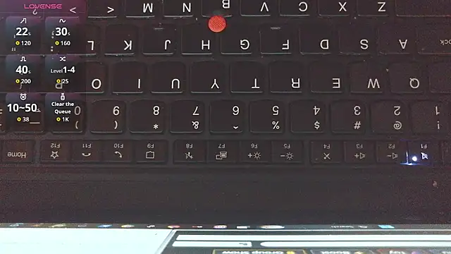 DILFiGuess1 Show in webcam