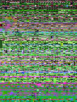 Czat XXX na żywo – Smith_Fitness