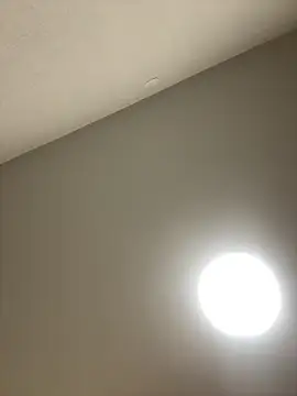 AlishaOfThorns 现场XXX聊天