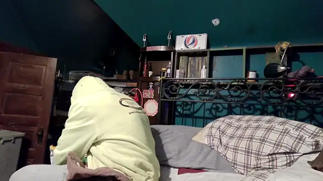 charactrzeroのウェブカメラショー