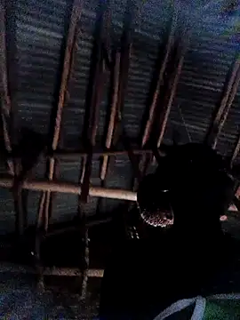 Sembang XXX Secara Langsung holygrail001