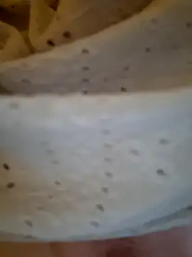 Živý XXX chat SPrITZMAUS