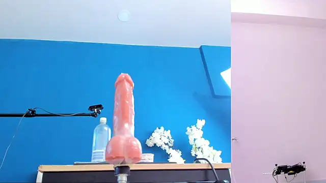 letty_straus 라이브 XXX 채팅