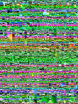 Show webcam de Smith_Fitness