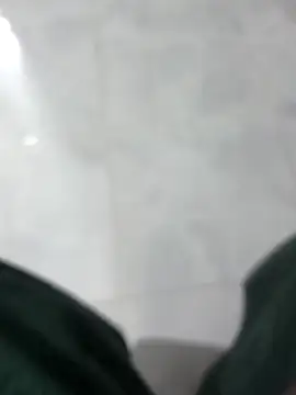 Wild-Dreamsのウェブカメラショー