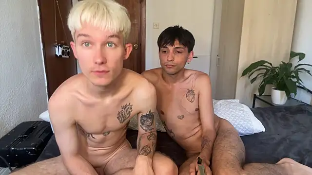 Show modela AlphaTwinks na web-kameri