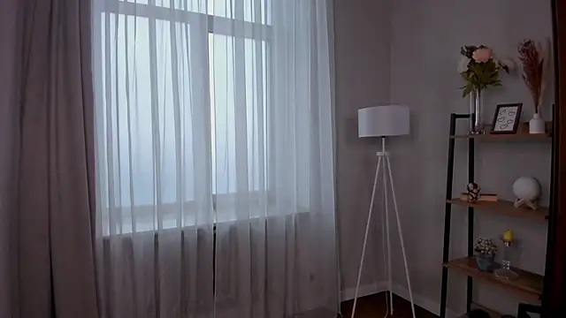 Show Webcam de LienKleis