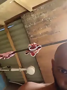 Camodick 网络视讯表演