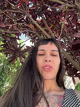 Show de Nikatsu na webcam