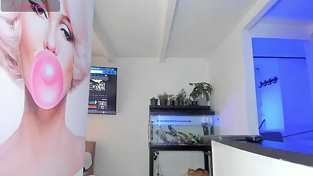 Show webcam de Daniel_29x