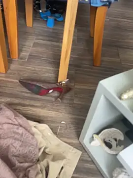 valle_salvaje Live XXX Chat